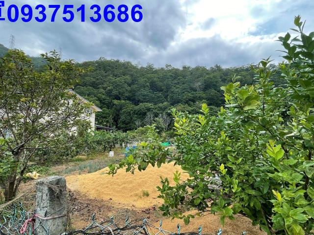 宜蘭員山農地-8