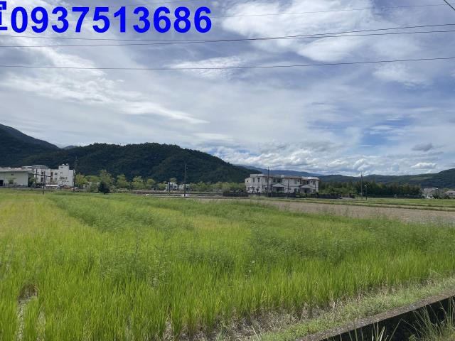 宜蘭冬山農地-1