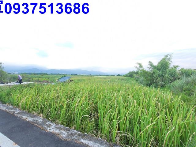 宜蘭五結建地-9