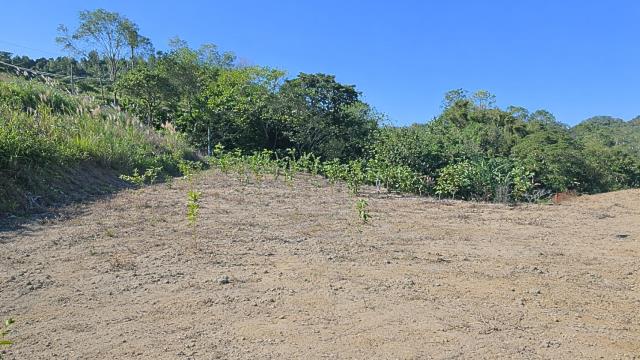 新竹北埔農地-7