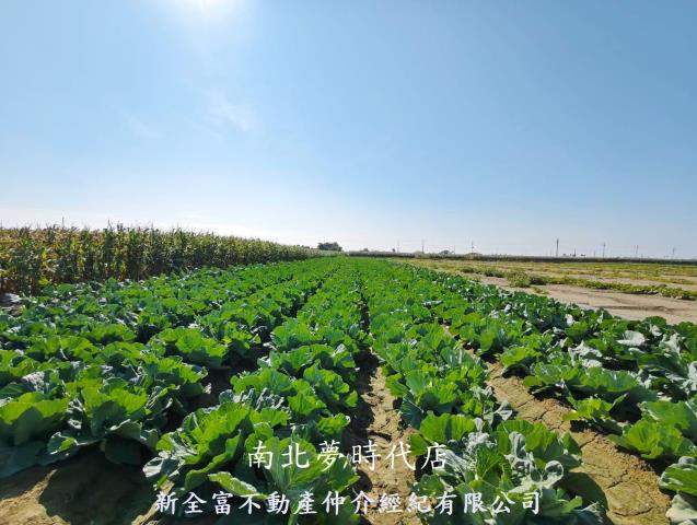 台南將軍農地-4