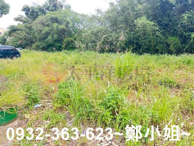 桃園八德農地-14