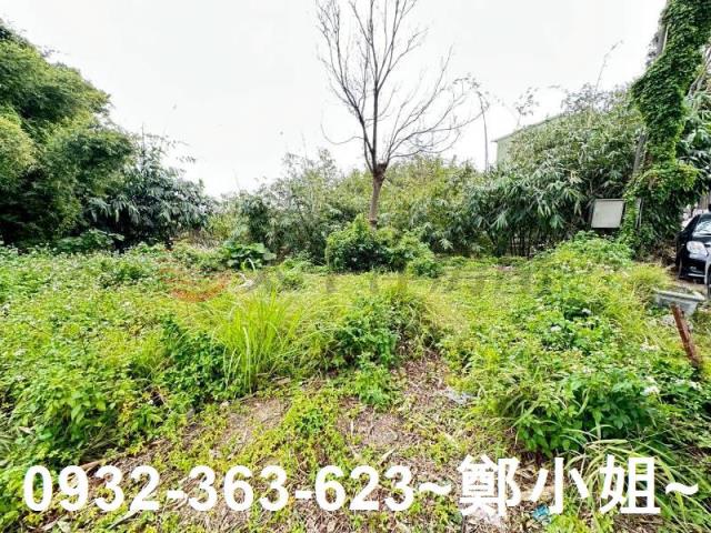 桃園八德農地-1