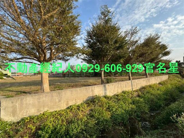 嘉義鹿草工業地-3