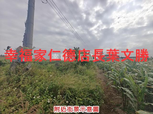 台南佳里農地-13