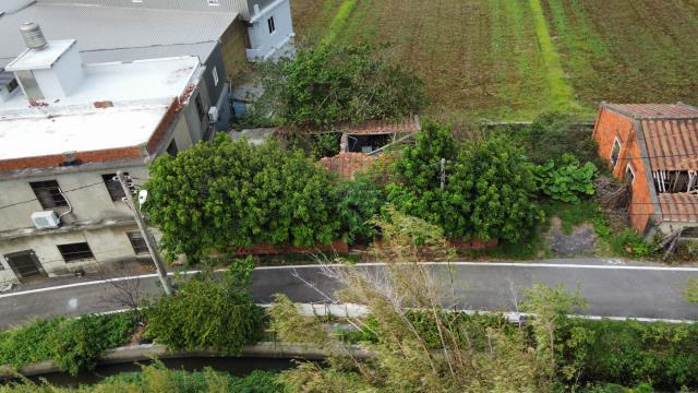 桃園新屋建地-1