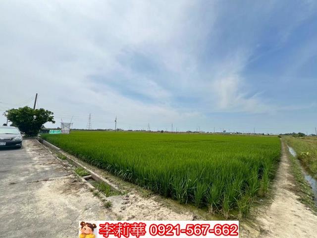 新營農地-4
