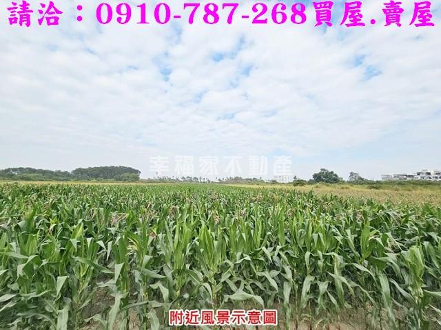 善化農地-10