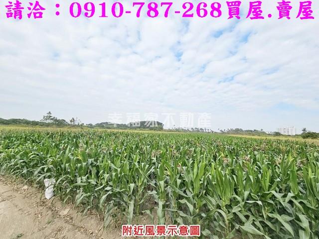 善化農地-13