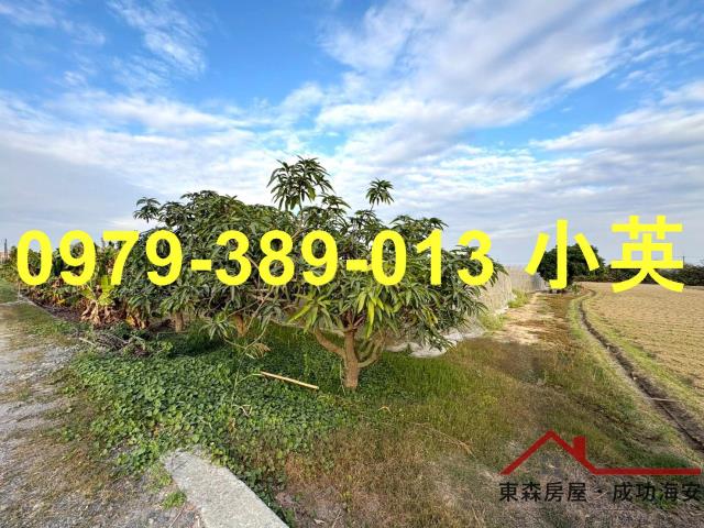 高雄路竹農地-2