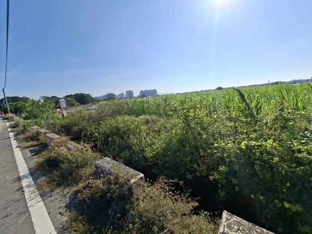 高雄橋頭農地-3