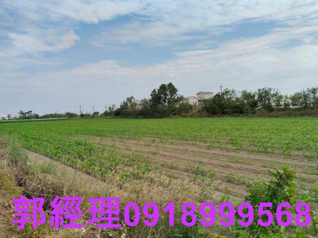 台南農地-7