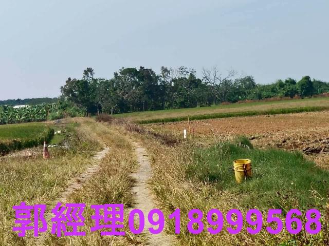 台南農地-12