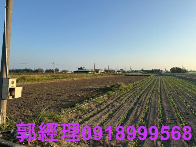 台南農地-7