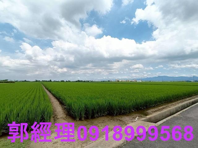 台南農地-3