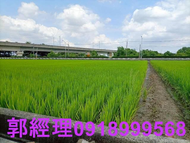 台南農地-4