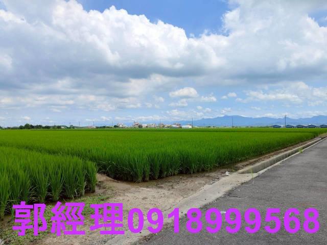 台南農地-6