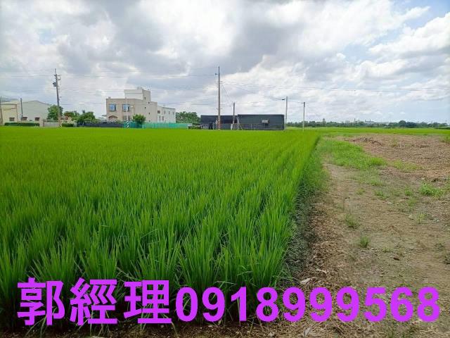 台南農地-5
