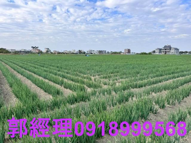 台南農地-2