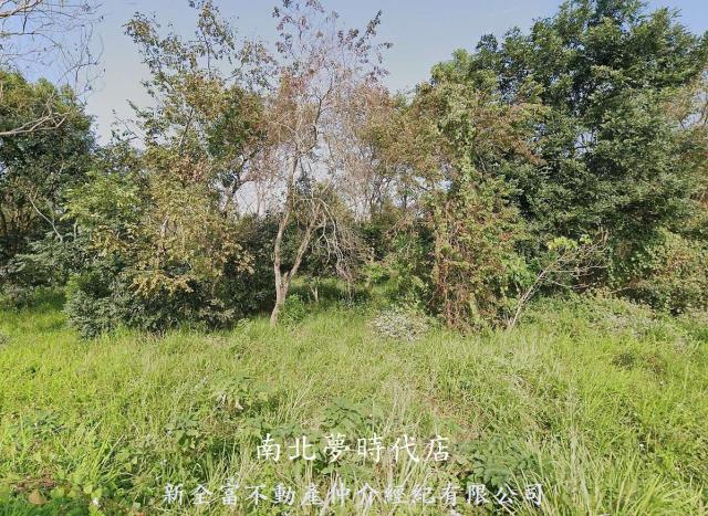 台南大內農地-2