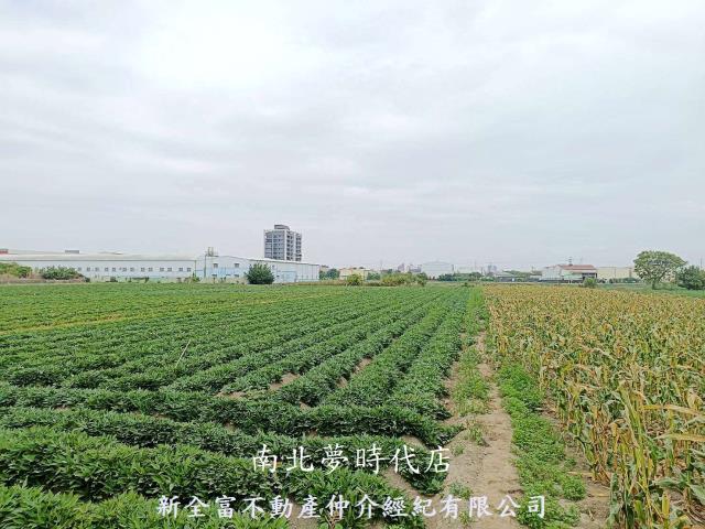 台南新化農地-8