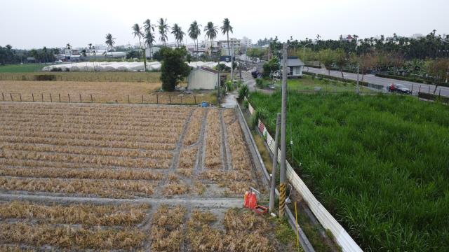 屏東屏東市農地-10