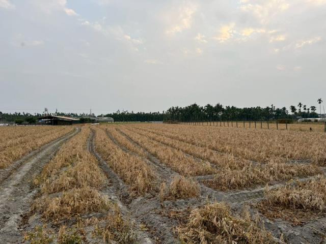 屏東屏東市農地-5