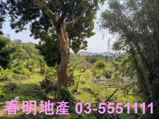 新竹竹東農地-4