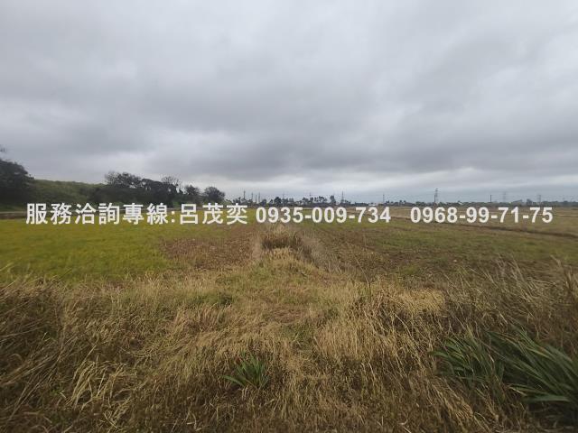 觀音農地-5
