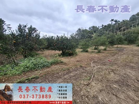 苗栗頭屋農地-5