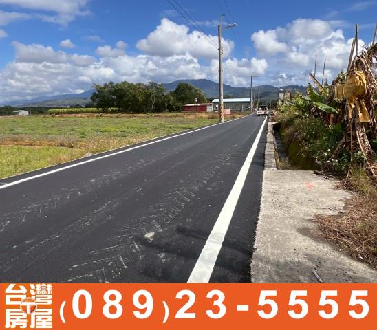 台東鹿野農地-10