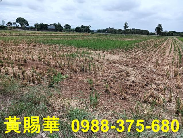 桃園新屋農地-4