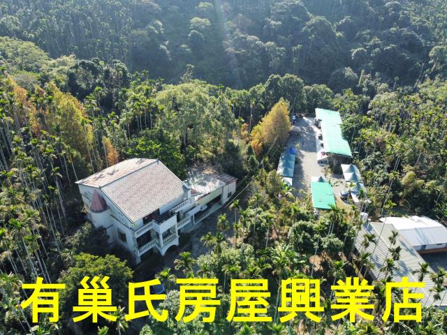 嘉義梅山農地-2