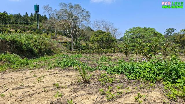 北埔農地-8