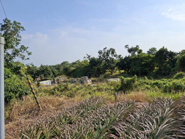 高雄農地-4