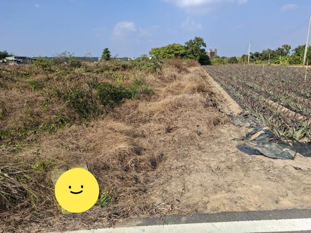 高雄農地-2