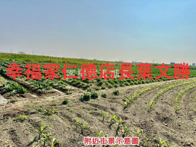 台南善化農地-8