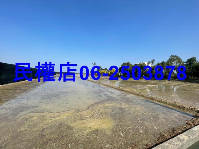 台南農地-8