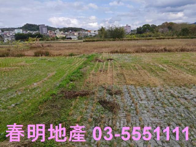 新竹農地-4