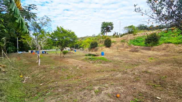 新竹北埔農地-9