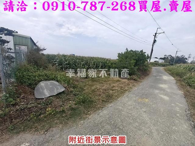 台南佳里農地-4