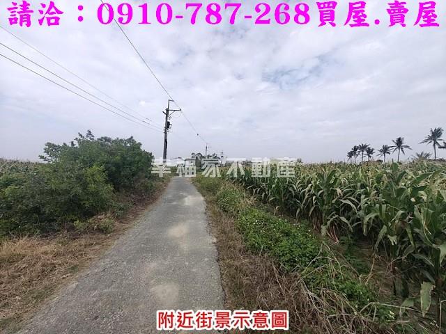 台南佳里農地-8