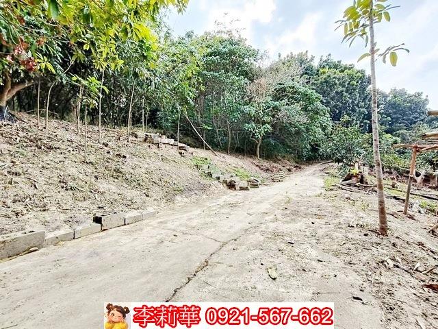 台南關廟農地-8