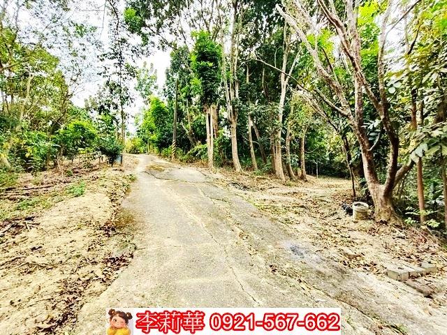 台南關廟農地-9