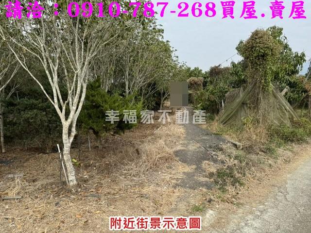 台南楠西農地-4