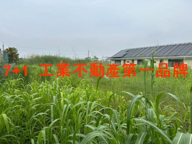 高雄大寮農地-1