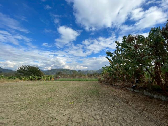 高雄美濃農地-4