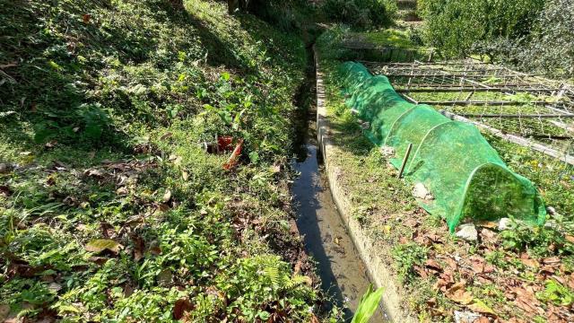 新竹峨眉農地-10