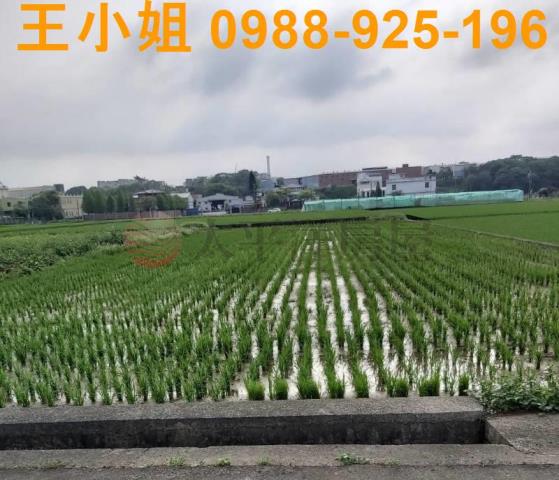 桃園楊梅農地-5