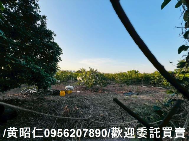 台南農地-9